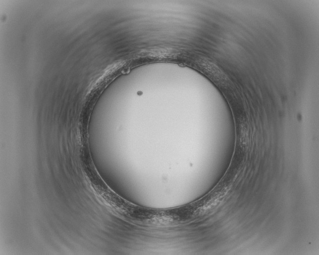 X0000060260256200511181401