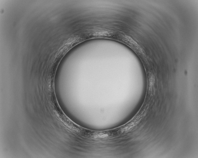 X0000060260257200511181401