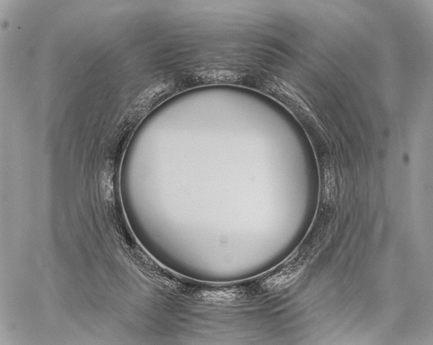 X0000060260259200511181401