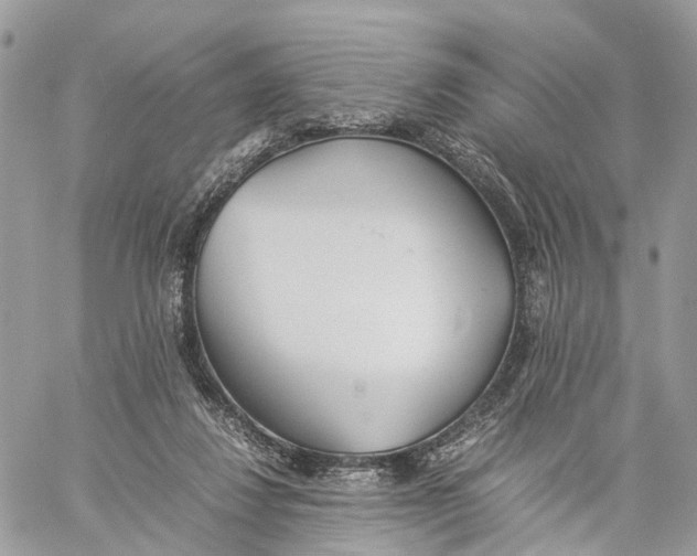 X0000060260260200511181401