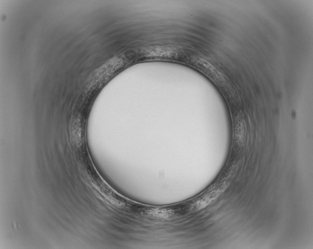 X0000060260261200511181401