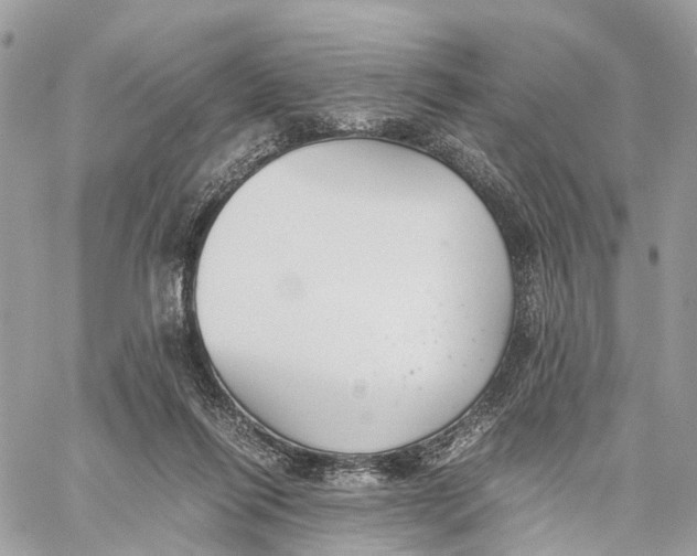 X0000060260262200511181401