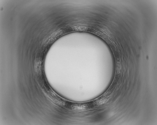 X0000060260263200511181401