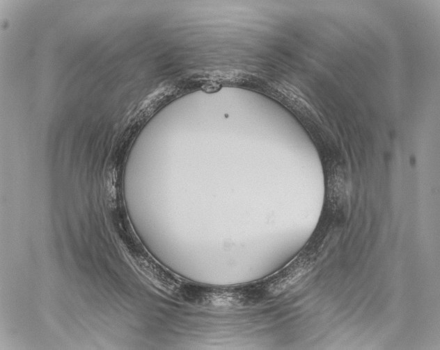 X0000060260264200511181401