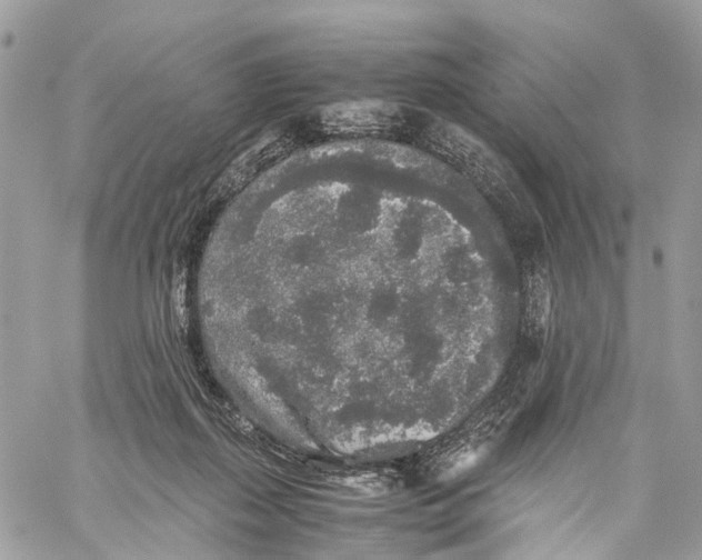 X0000060260267200511181401