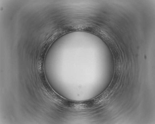 X0000060260268200511181401