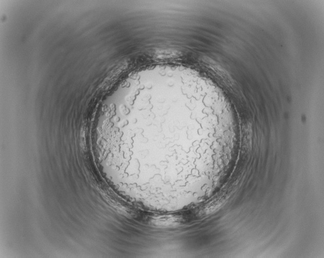 X0000060260269200511181401