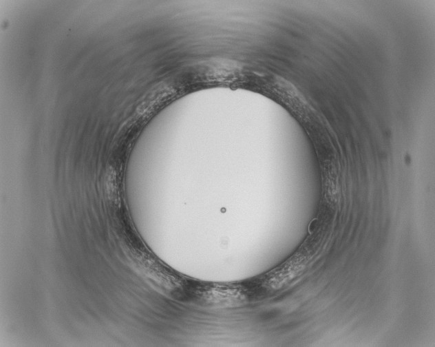 X0000060260270200511181401