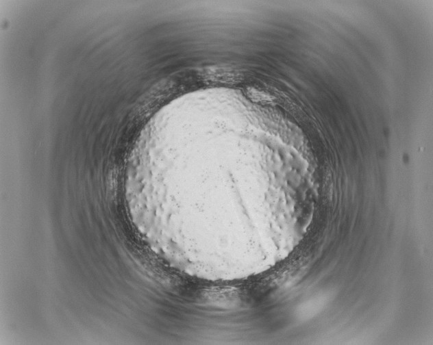 X0000060260271200511181402