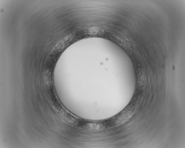 X0000060260272200511181402