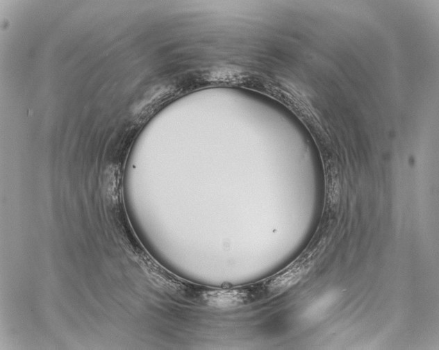 X0000060260273200511181402