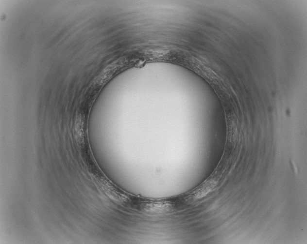 X0000060260274200511181402