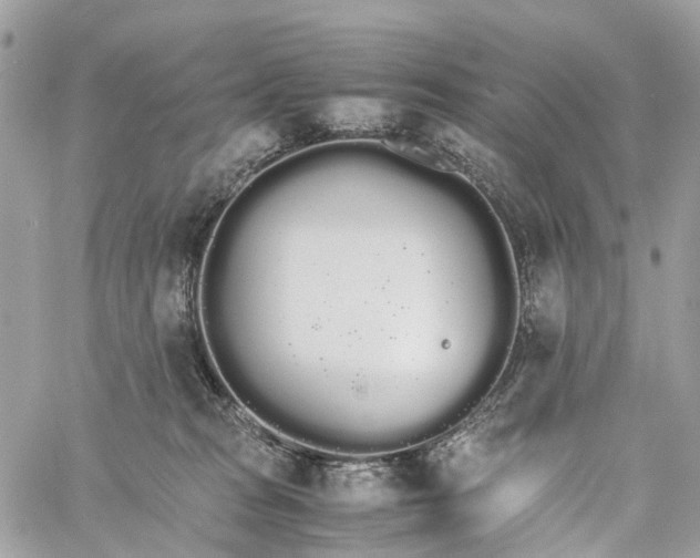 X0000060260277200511181402