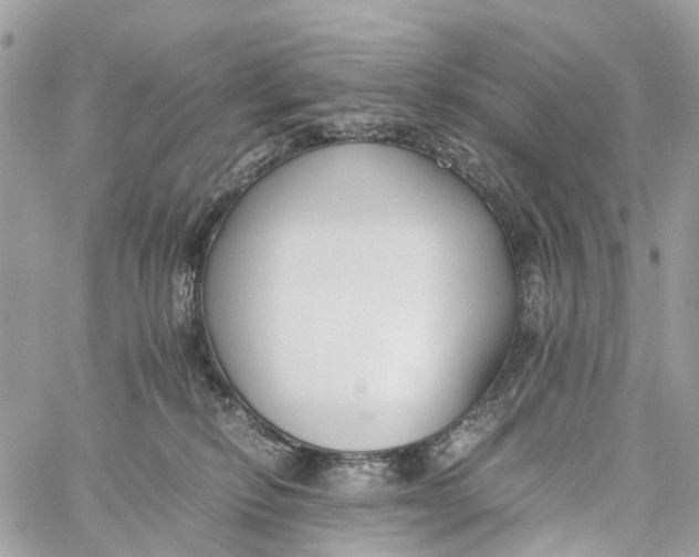 X0000060260278200511181402