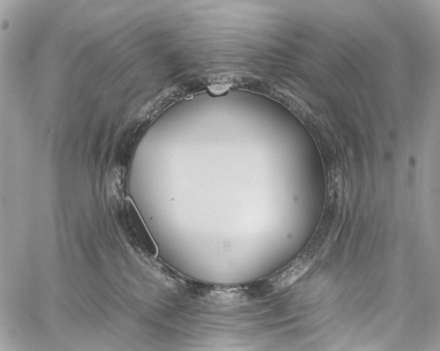 X0000060260280200511181402