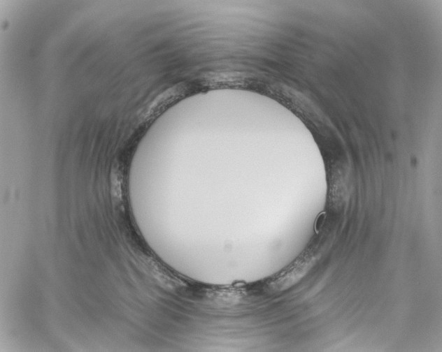 X0000060260282200511181402