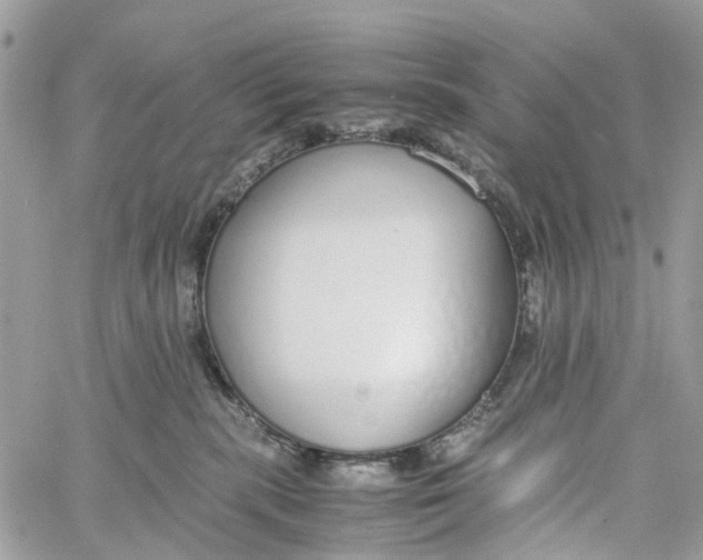 X0000060260283200511181402