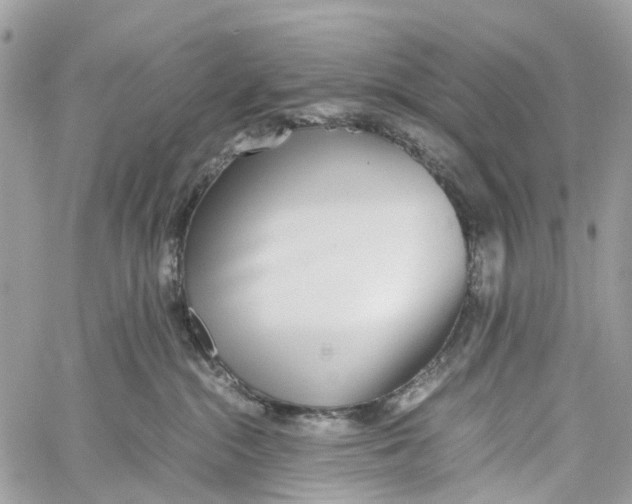 X0000060260284200511181402