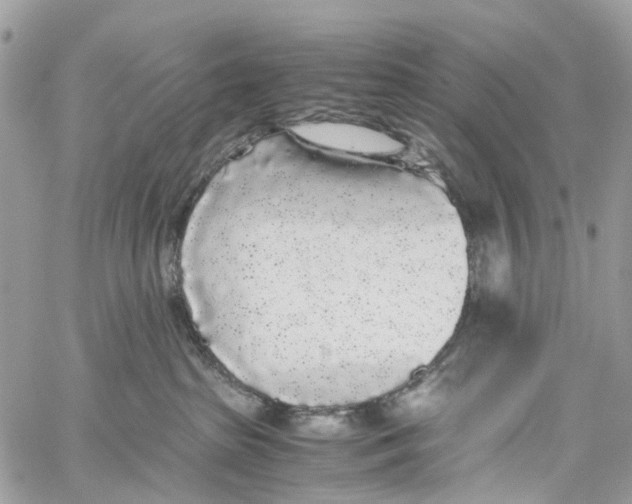 X0000060260285200511181402