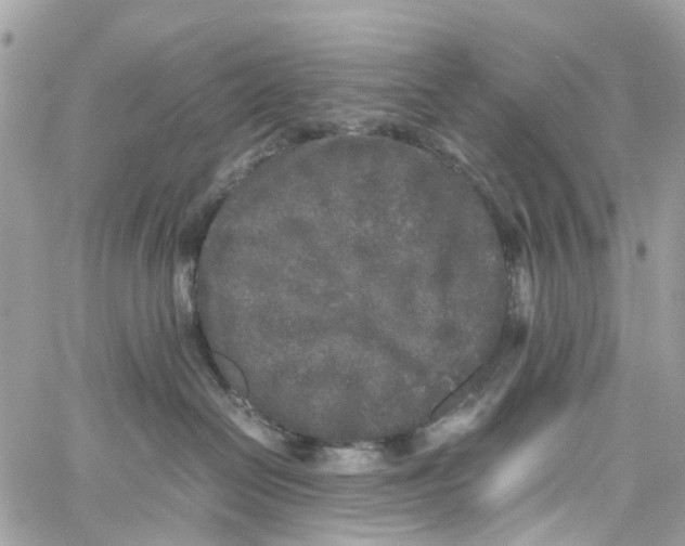 X0000060260286200511181402