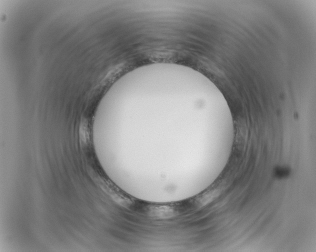 X0000060260287200511181402