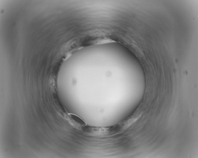 X0000060260288200511181402