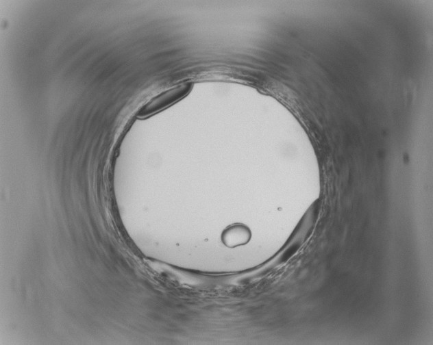 X0000060260289200511181401