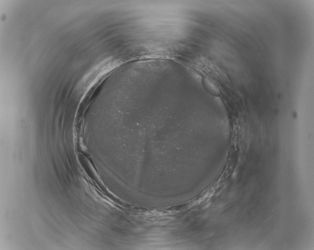 X0000060260290200511181401