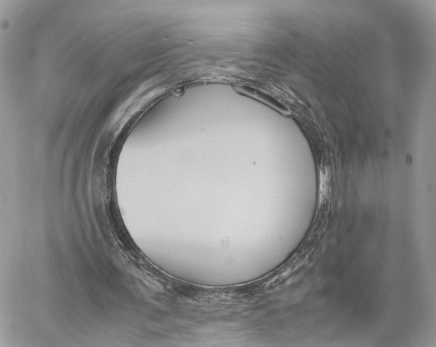 X0000060260291200511181401