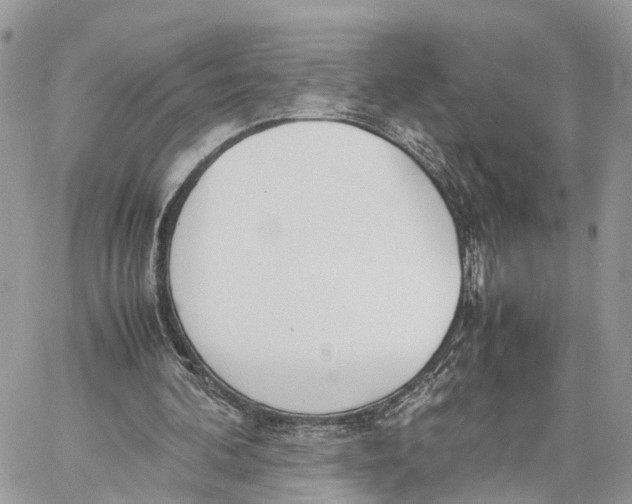 X0000060260292200511181401