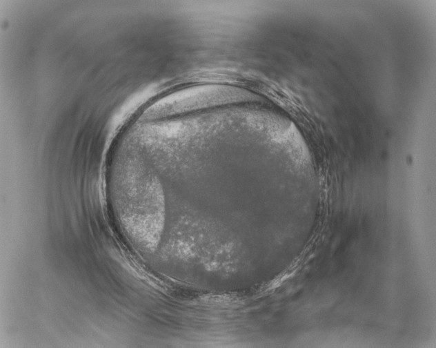 X0000060260294200511181401