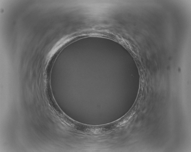 X0000060260295200511181401