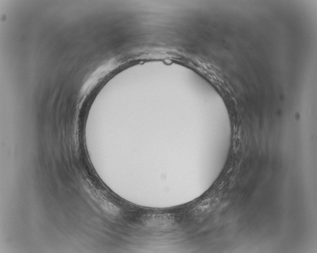 X0000060260296200511181401