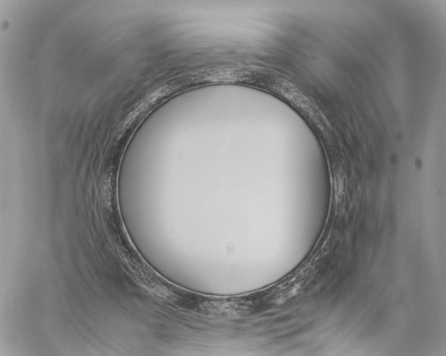 X0000060260297200511181401