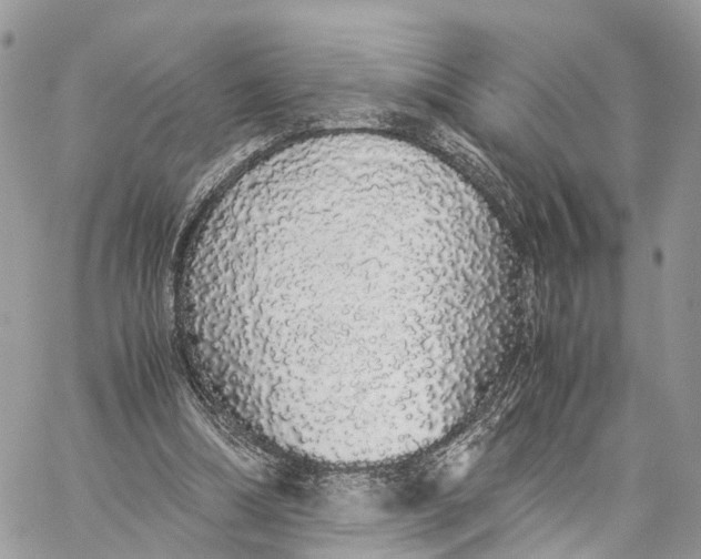 X0000060260298200511181401