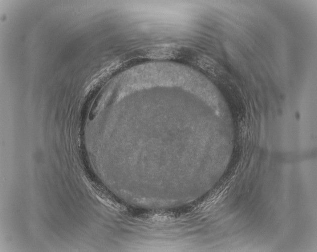 X0000060260303200511181401