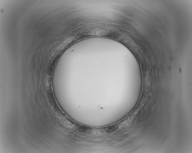 X0000060260305200511181401