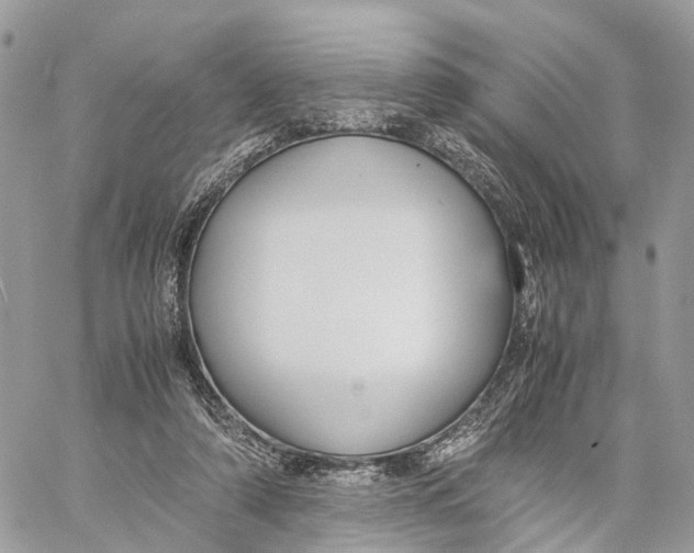 X0000060260306200511181401