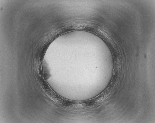 X0000060260307200511181401