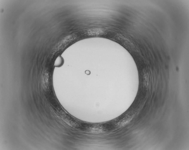 X0000060260308200511181401