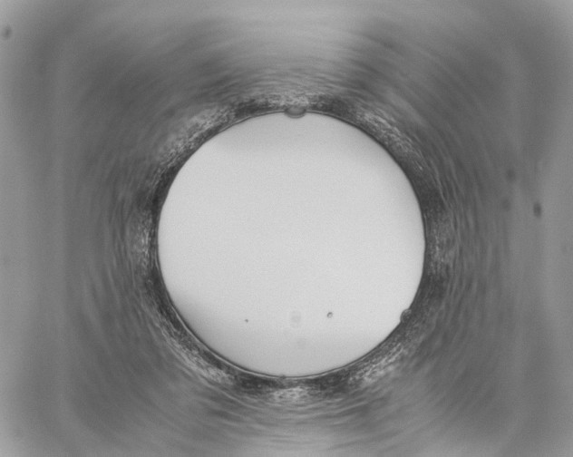 X0000060260309200511181401