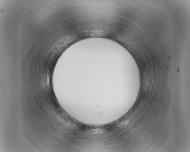 X0000060260310200511181401