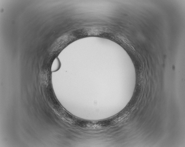 X0000060260311200511181401