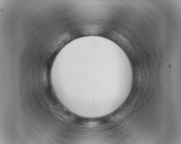 X0000060260312200511181401