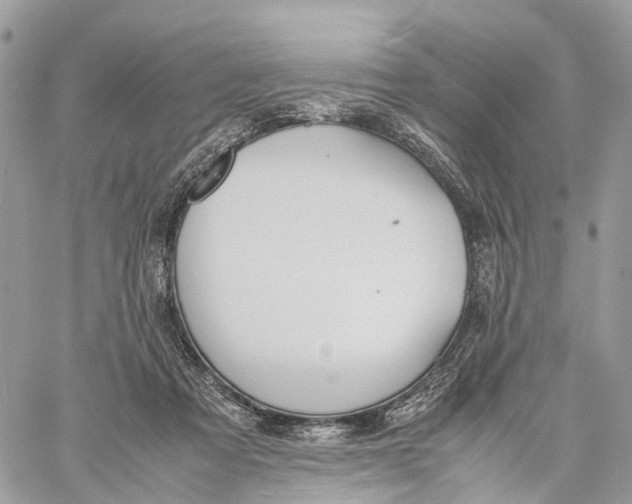 X0000060260313200511181401