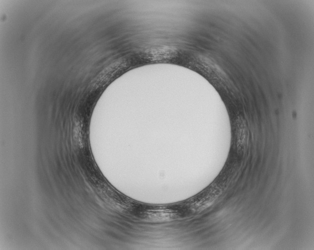 X0000060260316200511181401