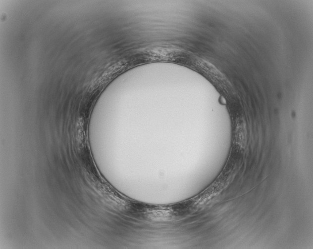 X0000060260318200511181401