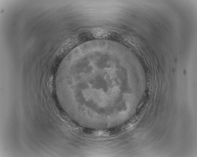 X0000060260319200511181401