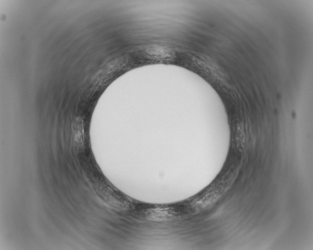 X0000060260320200511181400