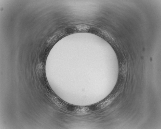 X0000060260321200511181400